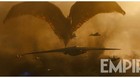 Imagen-de-rodan-en-godzilla-rey-de-los-monstruos-c_s