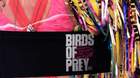 Termina-el-rodaje-de-birds-of-prey-aves-de-presa-c_s