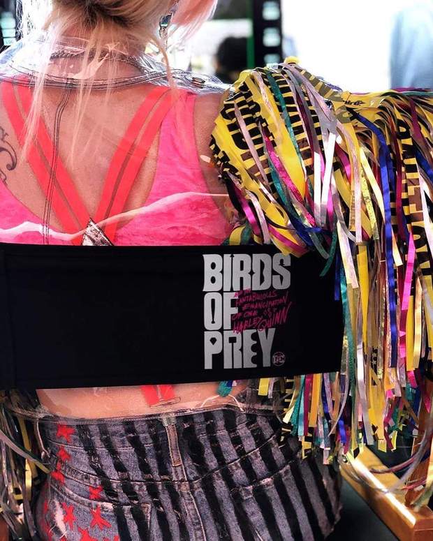 Termina el Rodaje de (BIRDS OF PREY - Aves de Presa). 
