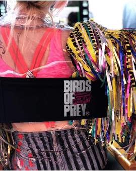 Termina el Rodaje de (BIRDS OF PREY - Aves de Presa). 