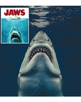 Un Fotógrafo Capta la Imagen Perfecta del Póster de (TIBURÓN). 