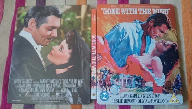 Steelbook (LO QUE EL VIENTO SE LLEVÓ). 