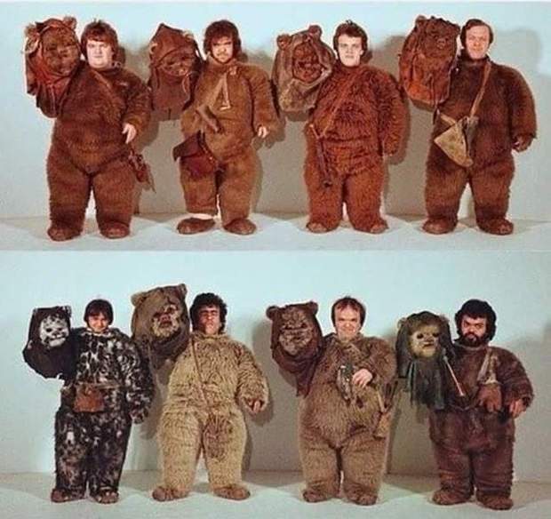 Imagen: (LOS EWOKS). 