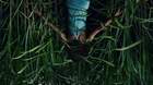 Poster-en-la-hierba-alta-corto-de-stephen-king-para-netflix-c_s