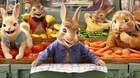 Poster-peter-rabbit-2-a-la-fuga-c_s