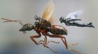 Marvel-confirma-ant-man-3-previsiblemente-para-el-2022-c_s