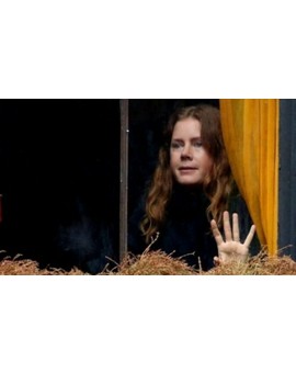 Trailer de (The Woman in the Window). 