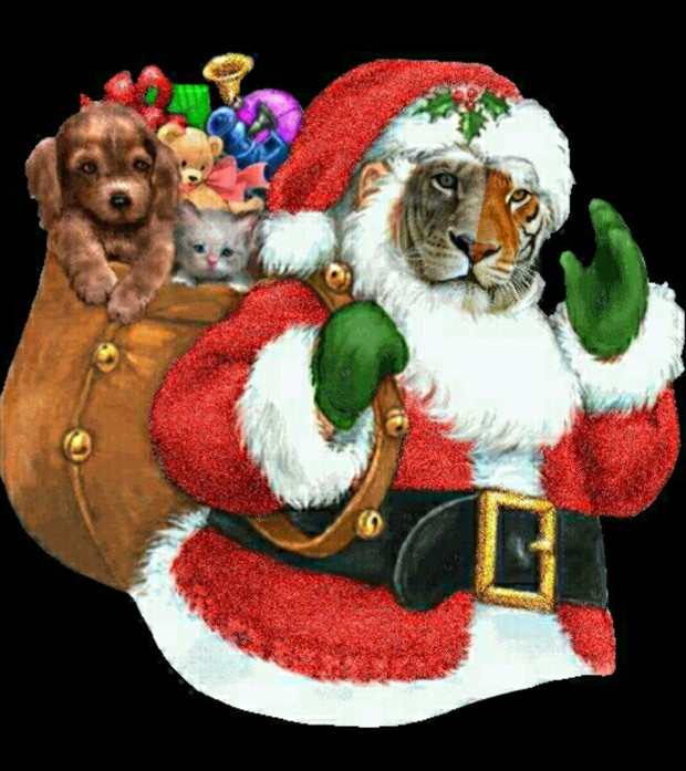 Feliz Navidad a toda la Comunidad de Mubis. 