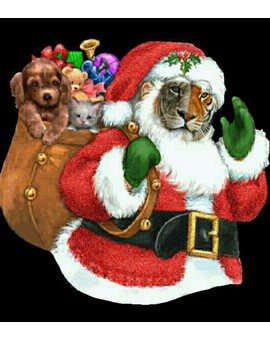 Feliz Navidad a toda la Comunidad de Mubis. 