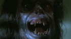 Andy-muschietti-dirigira-un-remake-de-aullidos-c_s