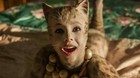 Que-pasa-si-ves-cats-hasta-arriba-de-drogas-c_s