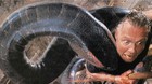 En-marcha-el-reeboot-de-anaconda-c_s