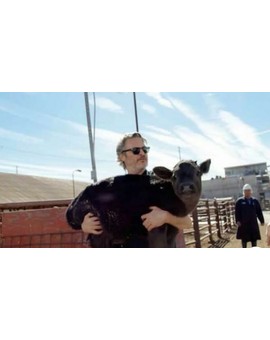 "Joaquín Phoenix" Rescata a una Vaca y a su cría del Matadero. 