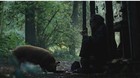 Primera-imagen-de-pig-con-nicolas-cage-c_s