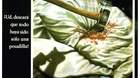 Hoy-se-cumplen-40-anos-del-estreno-de-viernes-13-galeria-de-posters-c_s
