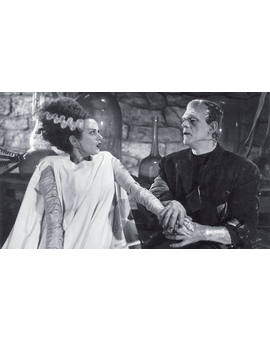 "David Koepp" Confirma el Desarrollo de (La Novia de Frankenstein). 