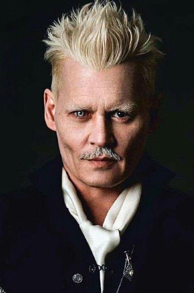 "Johnny Depp" Pide Posponer el Juicio contra "Amber Heard" para Rodar (Animales Fantásticos 3). 
