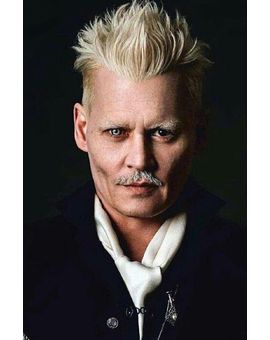 "Johnny Depp" Pide Posponer el Juicio contra "Amber Heard" para Rodar (Animales Fantásticos 3). 