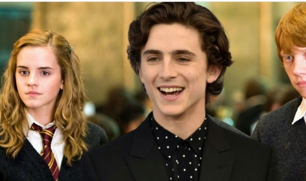 (Harry Potter) Confirmado el Remake con "Timothee Chalamet". 