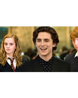 (Harry Potter) Confirmado el Remake con "Timothee Chalamet". 