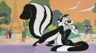 Pepe-le-pew-se-queda-fuera-de-la-secuela-de-space-jam-por-sexista-c_s