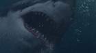 Poster-de-great-white-tiburon-blanco-c_s
