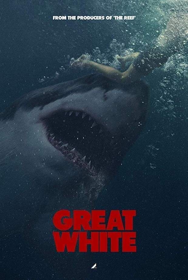 Póster de (Great White - Tiburón Blanco). 