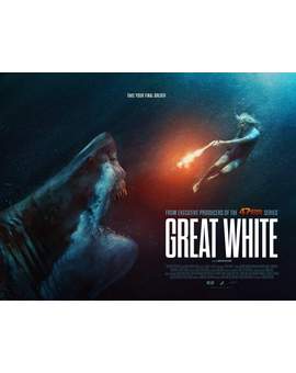 Nuevo Póster Banner de (Great White - Tiburón Blanco). 