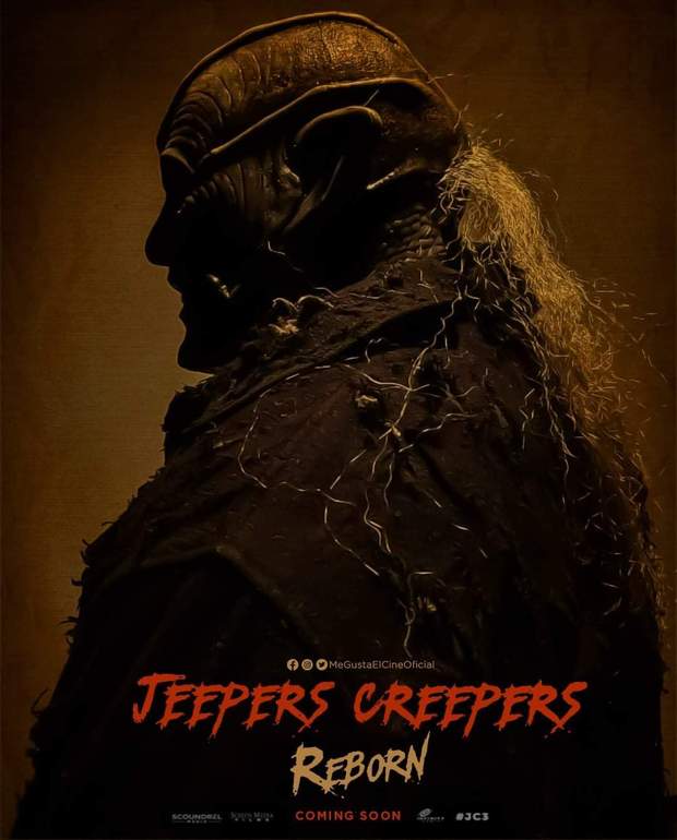El "Creeper" Regresa para Comer. 
