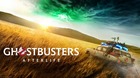 Ghostbusters-afterlife-c_s