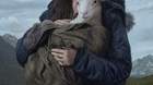 Poster-y-trailer-de-lamb-c_s