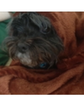 Ayer fue el cumpleaños del Compañero "ironconrad" Felicidades Compi, Atrasadas!!