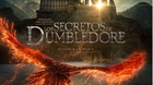 Primer-poster-de-los-secretos-de-dumbledore-c_s