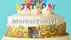 Hoy-cumple-anos-nuestro-queridisimo-companero-mercurymovie-anda-pero-si-soy-yo-ja-ja-ja-c_s