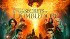 Poster-animales-fantasticos-3-los-secretos-de-dumbledore-c_s