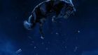 Nuevo-poster-de-nope-c_s