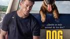 Trailer-y-poster-de-dog-un-viaje-salvaje-c_s