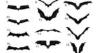 Revelados-todos-los-disenos-de-simbolos-para-the-batman-cual-es-vuestro-preferido-c_s