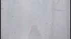 Teaser-trailer-de-prey-c_s