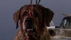 Rattlesnakes-la-nueva-novela-de-stephen-king-es-una-secuela-de-cujo-c_s
