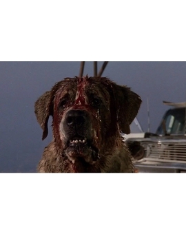 (Rattlesnakes) la nueva novela de Stephen King, es una secuela de "Cujo"