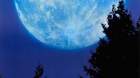 Se-cumplen-40-anos-del-estreno-de-e-t-el-extraterrestre-c_s