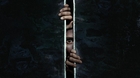 Poster-e-imagenes-de-jaula-c_s