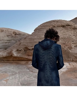 Imagen: "Timothée Chalamet" en (Dune: Parte 2).