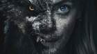Poster-de-vikingwolf-c_s