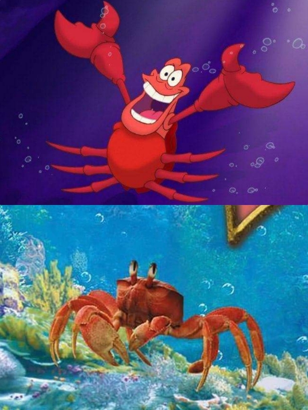 Primera Imagen oficial a "Sebastián" de la nueva película de (La Sirenita) en live action de Disney!