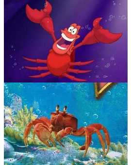 Primera Imagen oficial a "Sebastián" de la nueva película de (La Sirenita) en live action de Disney!