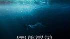 Trailer-y-poster-de-influencer-c_s