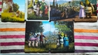 Mi-coleccion-y-steelbooks-de-shrek-c_s