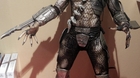 Predator-de-45cm-c_s
